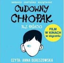 Audiobook Cudowny chłopak mp3 - kup na TaniaKsiazka.pl