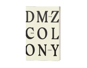 DMZ Colony, Don Mee Choi
