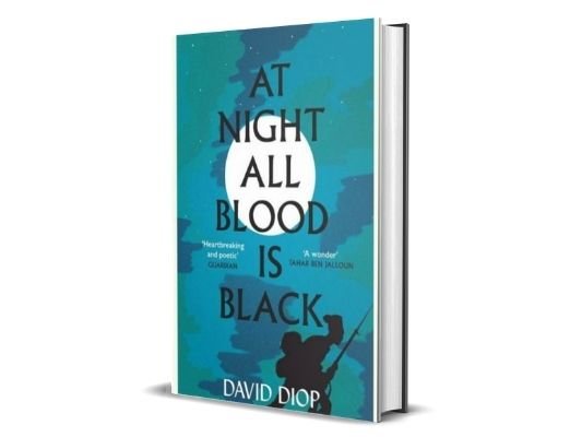 David Diop At night all blood is black