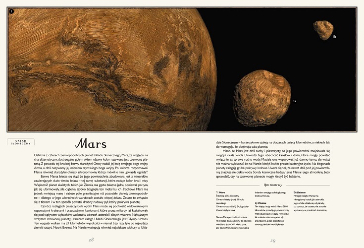 Planetarium: książka o kosmosie dla dzieci i młodzieży