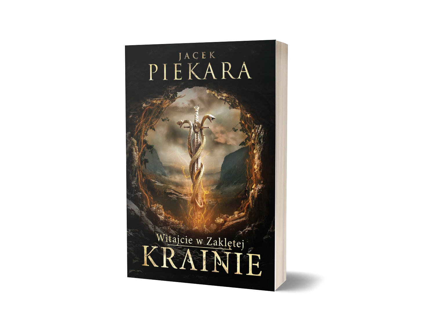 Książkę Witajcie w Zaklętej Krainie znajdziesz na taniaksiazka.pl