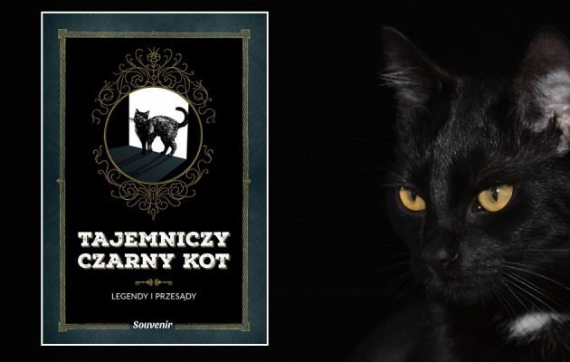 Recenzja książki Tajemniczy czarny kot. Kupisz ją w TaniaKsiazka.pl